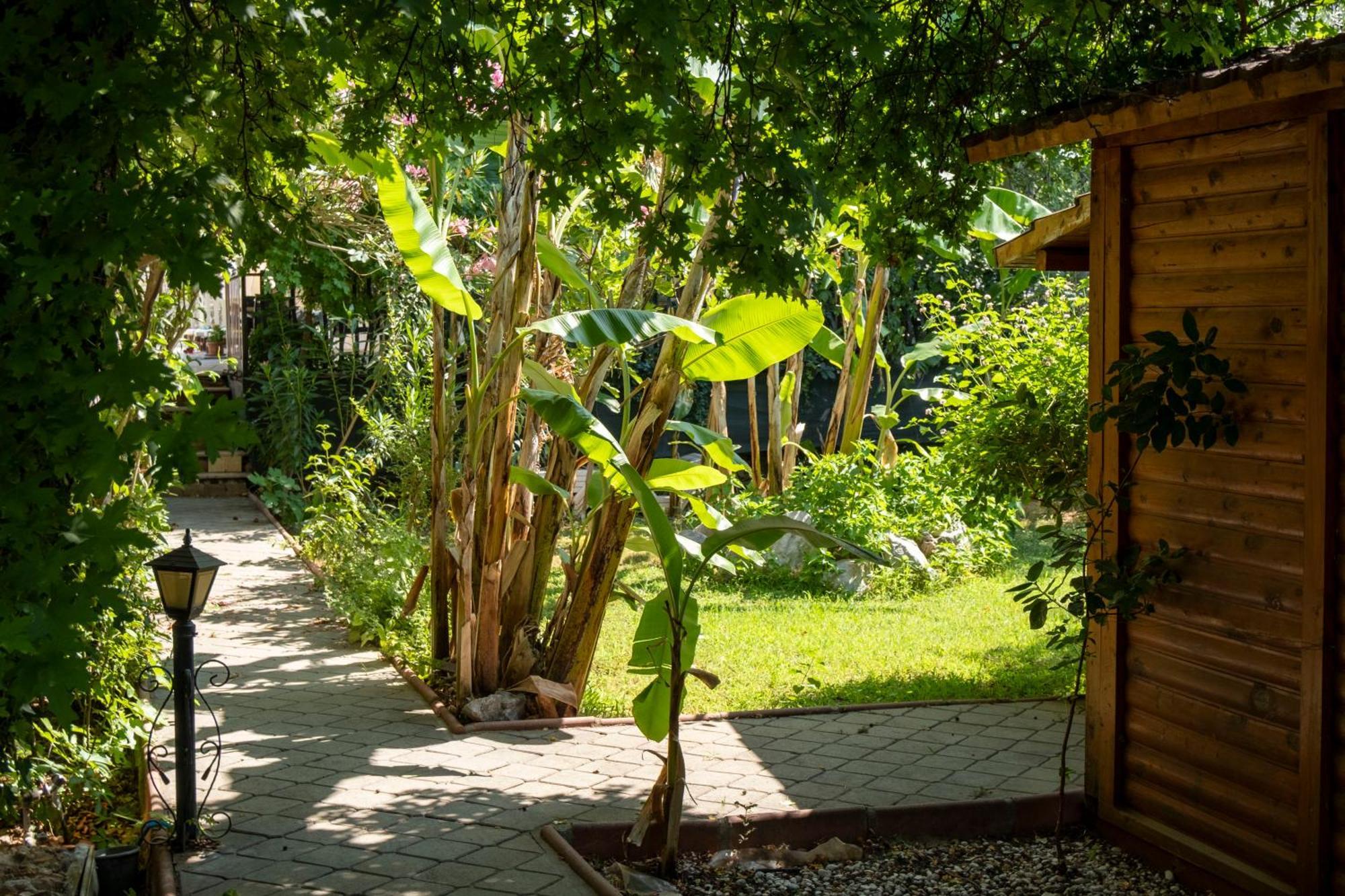 Hotel Guenes Boutique - Oludeniz 3*